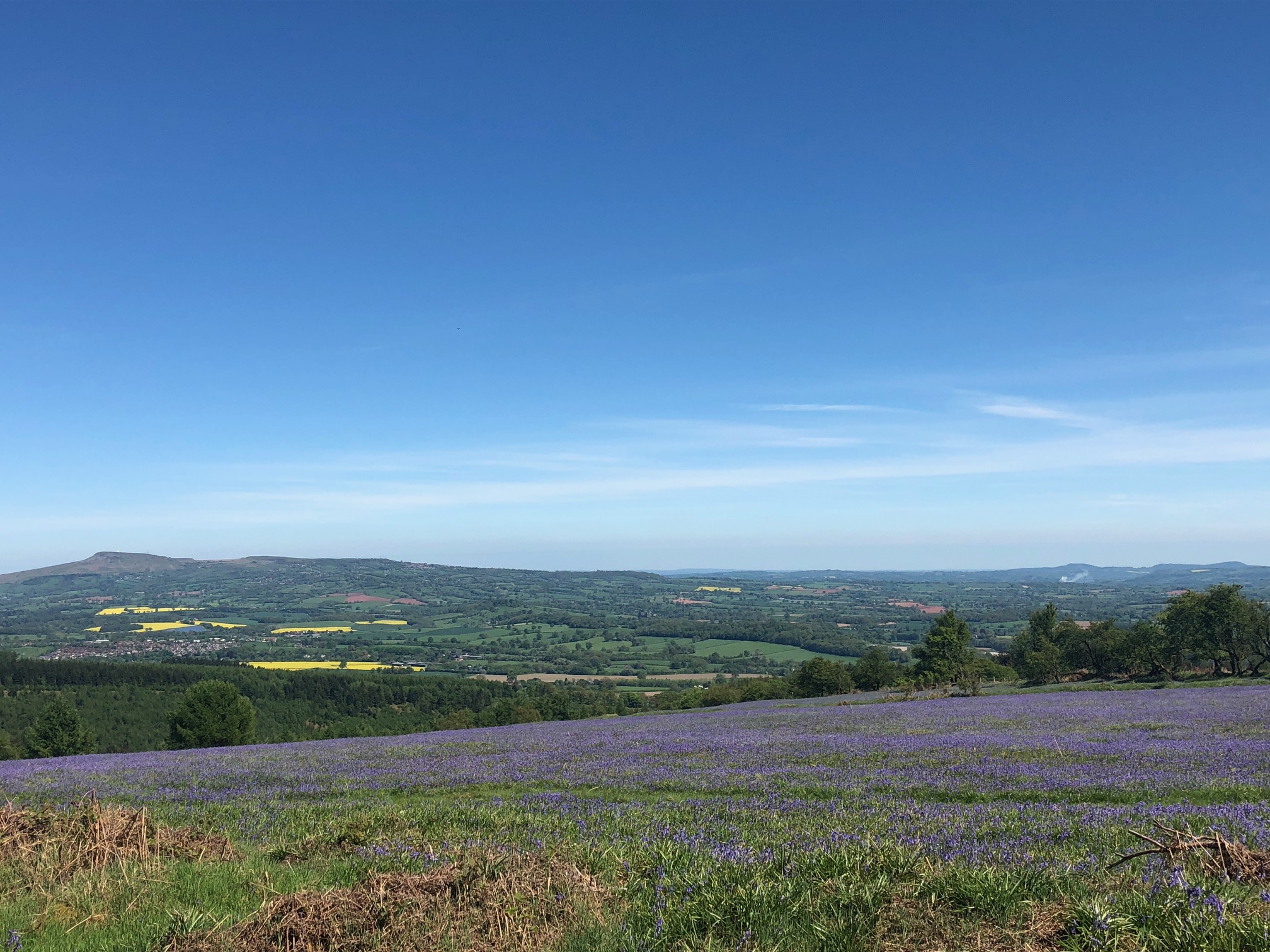 Climbing Jack trail at Mortimer Forest Forestry England